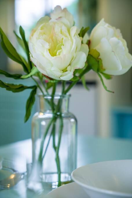 Wind In The Willows: Sleeps 4, Kitchen, Bathroom, Lounge, Wifi Napton on The Hill 外观 照片
